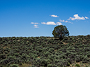 %_tempFileName2014-05-27_01_Rio_Grande_West_Rim_Trail-17%