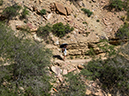 %_tempFileName2014-05-30_01_North_Kabiab_Trail_Grand_Canyon-51%