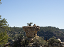 %_tempFileName2014-06-01_01_Widforss_Trail_Grand_Canyon-6%