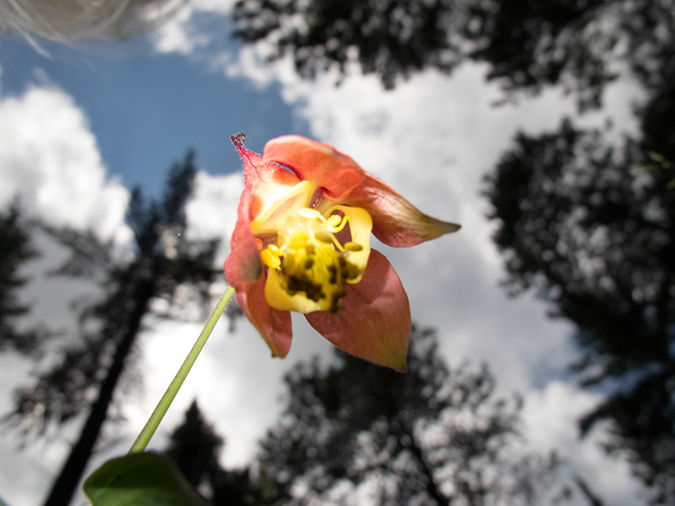 %_tempFileName2013-07-17_1_Itasca_State_Park-18%
