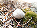 %_tempFileName2013-07-16_1_Paul_Bunyan_Trail-2%