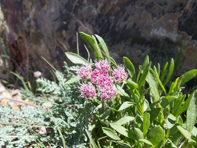 %_tempFileName2013-04-22_Petrified_Forest-10%