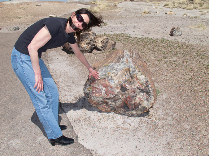 %_tempFileName2013-04-22_Petrified_Forest-7%