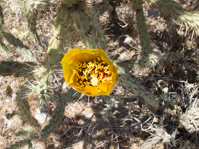 %_tempFileName2013-04-23_Squaw_Peak-4%