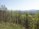 %_tempFileName2013-04-20_Blue_Ridge_Parkway-2%
