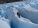 %_tempFileName2014-03-23_02_Torres_del_Paines_Hiking_Glacier_Grey-26%