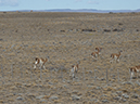%_tempFileName2014-03-30_02_El_Chalten_to_El_Calafate-7%