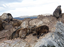 %_tempFileName2014-04-01_01_Ushuaia_Tres_Marias_Boat_Trip-31%