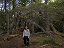 %_tempFileName2014-04-02_02_Ushuaia_Tierra_del_Fuego_National_Park%20-11%