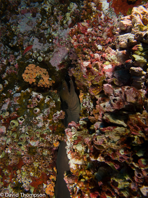 %_tempFileName2012-12-11_2_Roca_Partida-22%