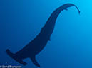 %_tempFileName2012-12-09_2_Socorro_Cabo_Peors-12%