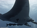 %_tempFileName2012-12-10_2_Socorro_Punta_Tosca-10%