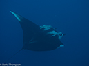 %_tempFileName2012-12-10_2_Socorro_Punta_Tosca-15%