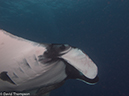 %_tempFileName2012-12-10_2_Socorro_Punta_Tosca-9%