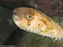 %_tempFileName2012-12-10_4_Socorro_Punta_Tosca-57%