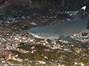 %_tempFileName2012-12-11_2_Roca_Partida-29%