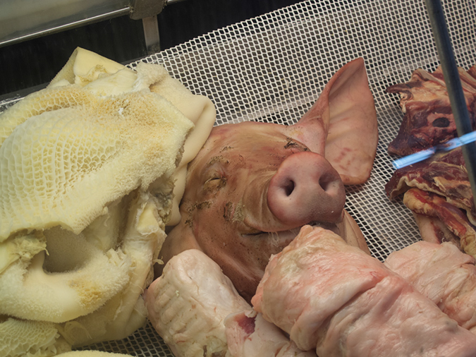 %_tempFileName2014-03-14_01_Santiago_Spice_Chile_Free_Popular_Sto_Tour-9%