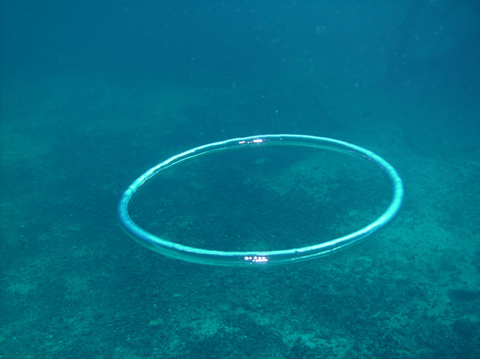 El%20Reina%20bubble%20ringrings