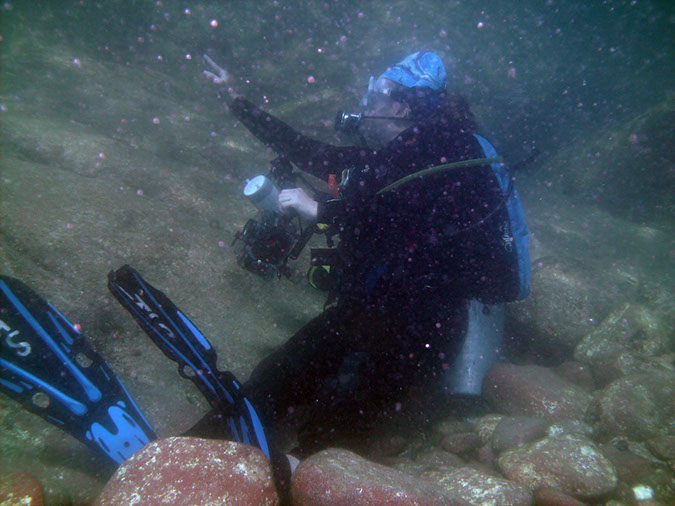 Los%20Islotes%20Diver%20laurie