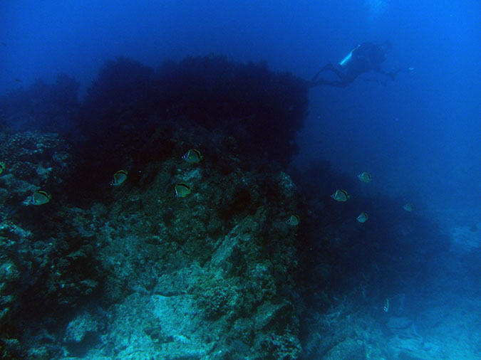 PICT0294