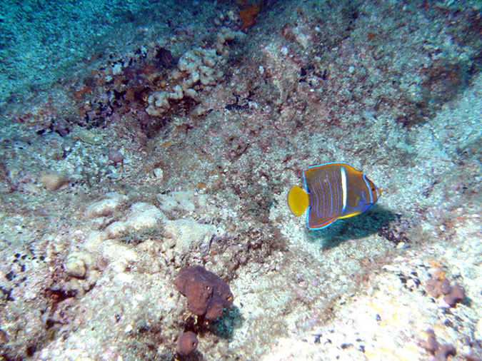 PICT0341