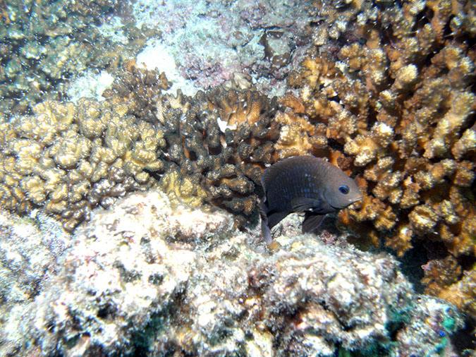 PICT0380