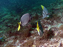 PICT0253