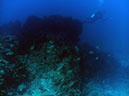 PICT0294
