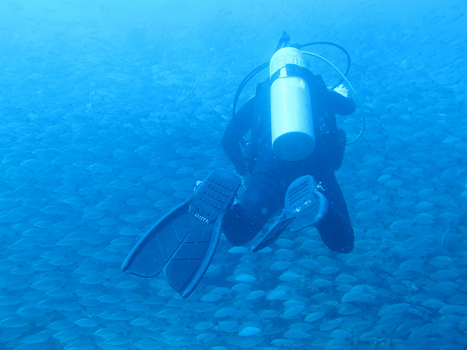 Day 1 Swanee Reef (12)