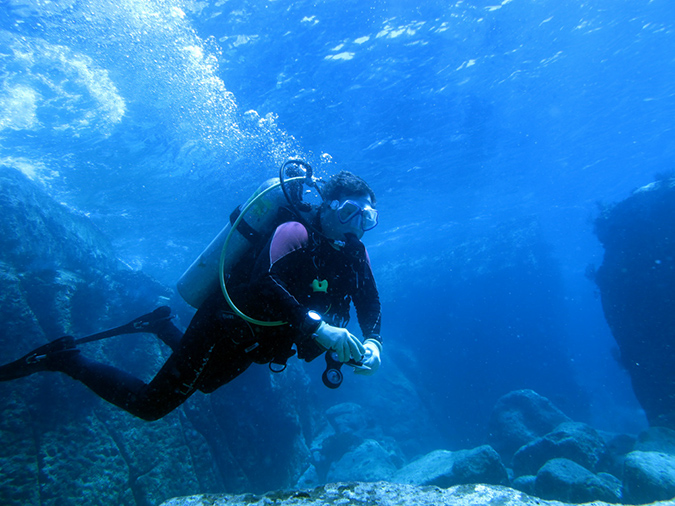 Day 5 Los Islotes Dive 1 (18)