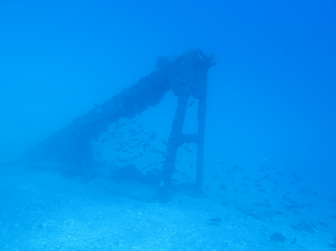 Day 4 Salvatierra (16)