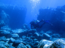 Day 1 Los Islotes Dive 1 (7)