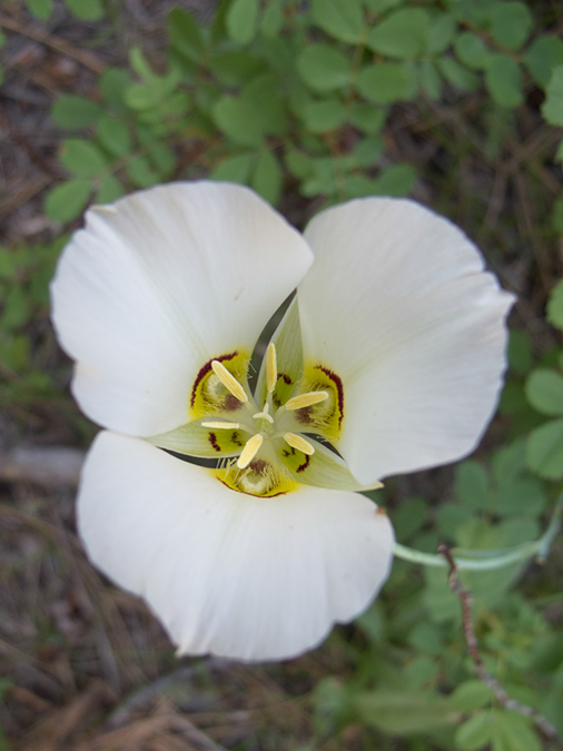 %_tempFileName2013-07-10_2_Hells_Canyon_Hike-14%