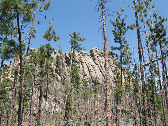 %_tempFileName2013-07-11_2_Harney_Peak_Hike-44%