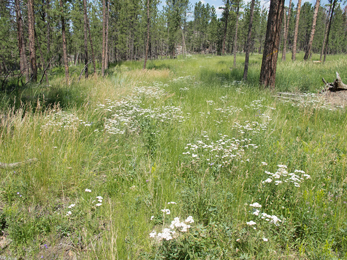 %_tempFileName2013-07-11_2_Harney_Peak_Hike-51%