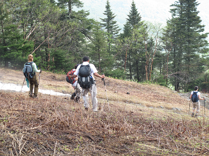 Mansfield before Breakfast (9)