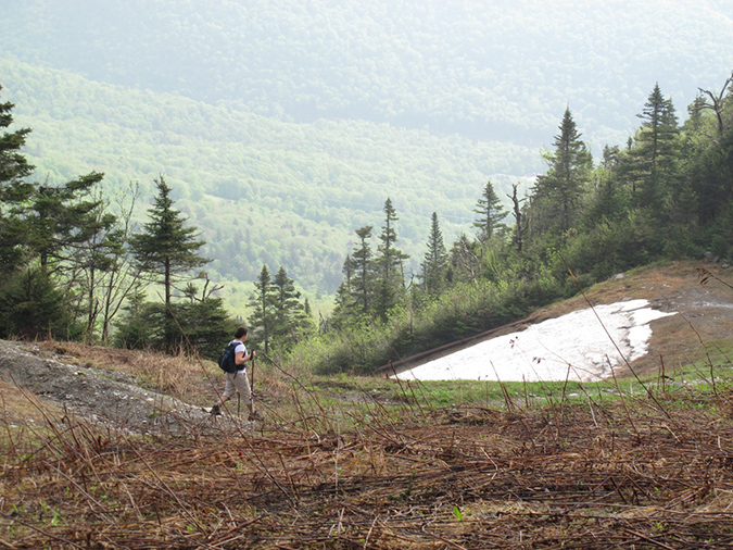 Mansfield before Breakfast (10)