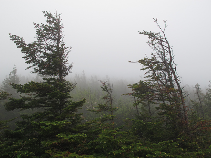 Mansfield via UnderHill State Part (7)