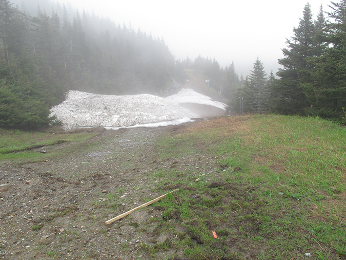 Mansfield before Breakfast (7)