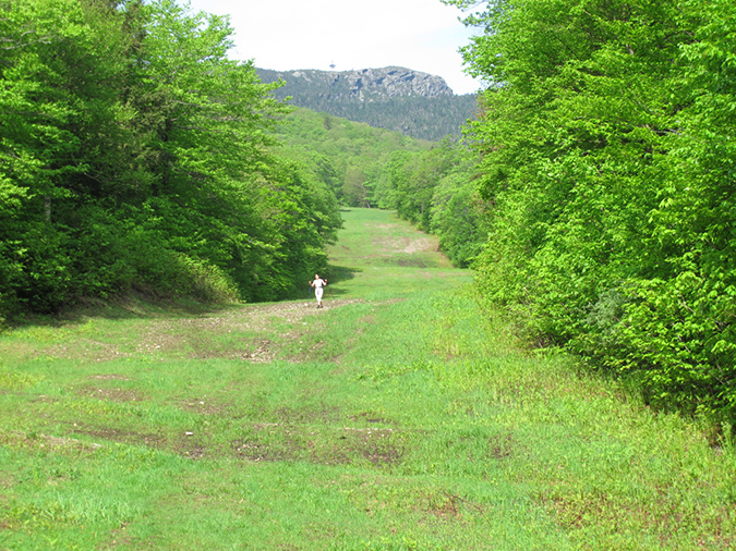 Mansfield before Breakfast (13)