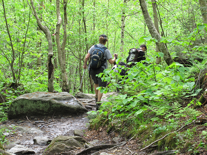 Mansfield via UnderHill State Part (24)