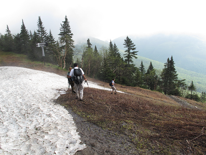 Mansfield before Breakfast (8)