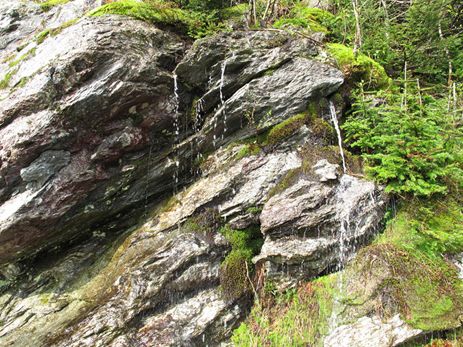 Mansfield before Breakfast (12)