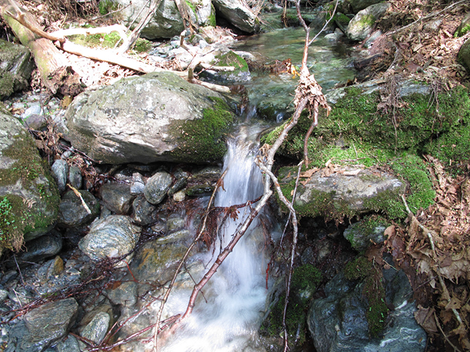 %_tempFileName20120527%20-%20Mansfield%20from%20Underhill%20Park%20(24)%