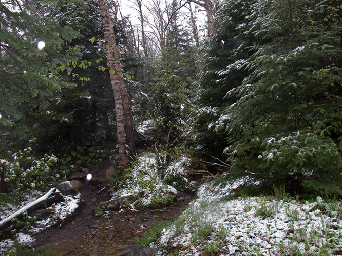 %_tempFileName2013-05-25_Camels_Hump-9%