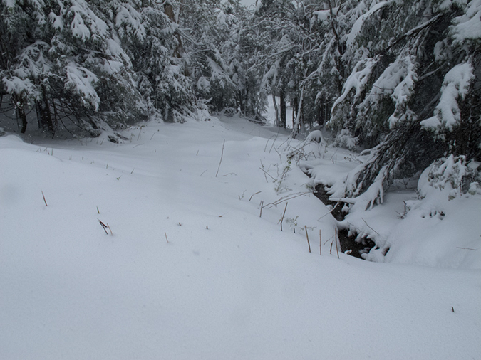 %_tempFileName2013-05-26_Mount_Mansfield-4%
