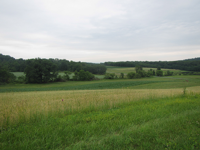 %_tempFileName2013-06-16_Strasburg_Bicycle_RIde-21%