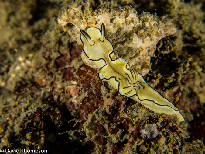 %_tempFileName2013-03-11_4_Losama_Island_Losama_Bay-26%
