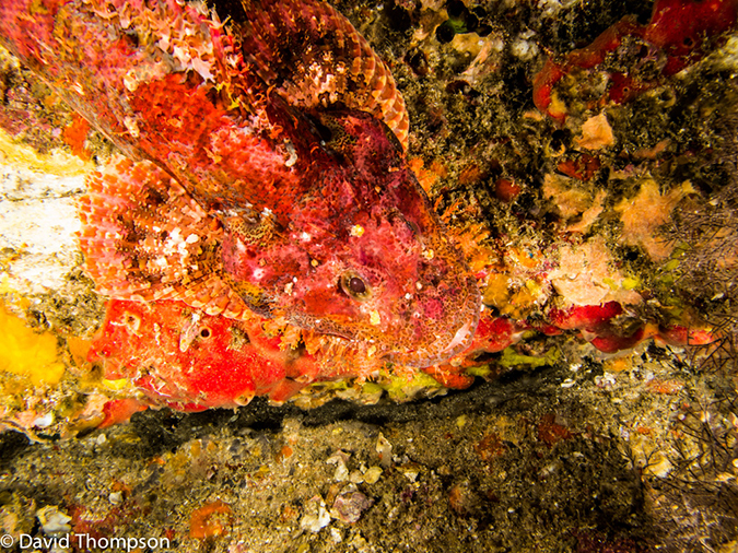 %_tempFileName2013-03-12_3_Hin_Muang-3%