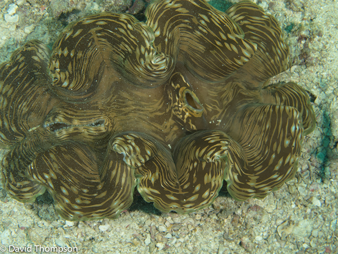 %_tempFileName2013-03-15_3_Koh_Haa_Lagoon-2%